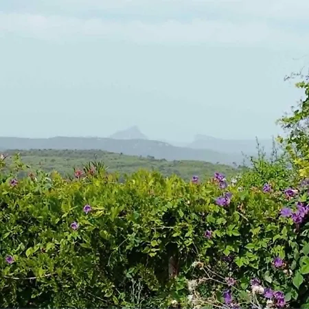 Nyaraló Charme De L'ancien Entre Cevennes Et